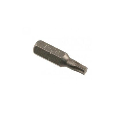 Torx bitjes